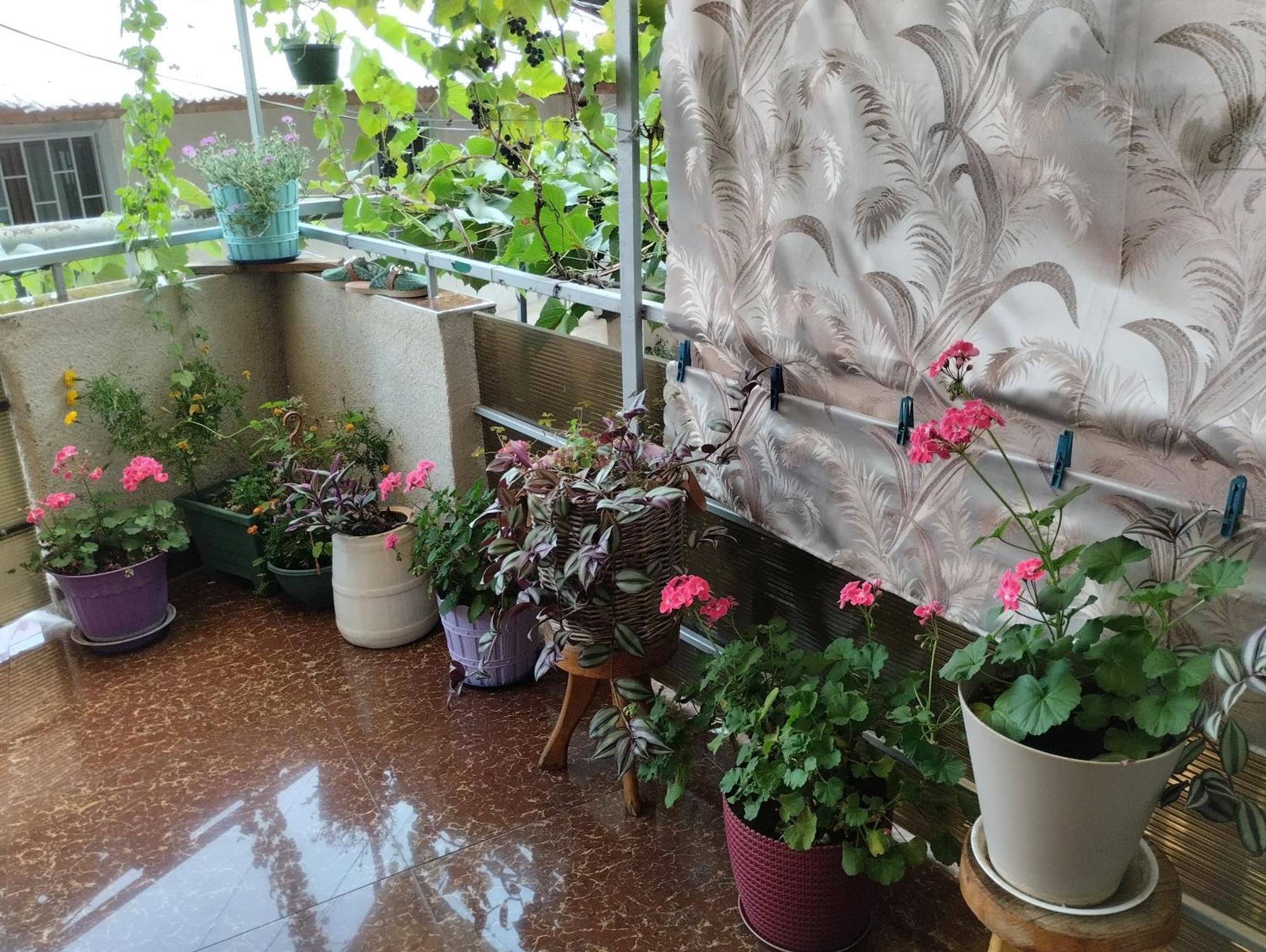 מלון House In קאחתי חדר תמונה